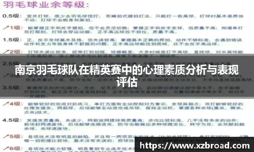 南京羽毛球队在精英赛中的心理素质分析与表现评估