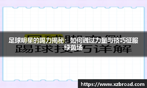 足球明星的踢力揭秘：如何通过力量与技巧征服绿茵场