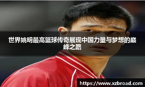 u8国际登录网址